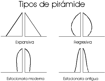 Tipos de pirámide de población