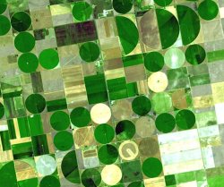 Explotacione agrícolas en Kansas (EE UU)