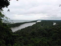 Parque Nacional de Tortuguero (Costa Rica)