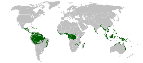 Distribución del bosque ecuatorial