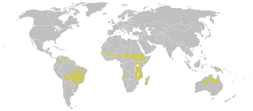 Distribución de la estepa con espinosos y el matorral espinoso tropical
