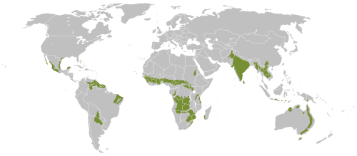 Distribución del bosque monzónico