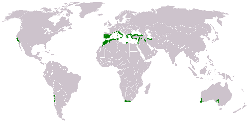 Distribución del bosque mediterráneo