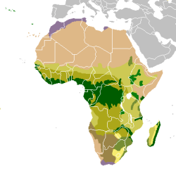 Biocenosis en África
