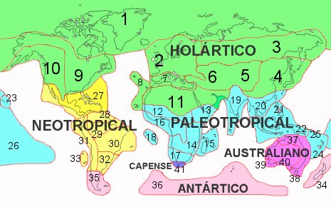 Imperios y regiones biogeográficas.