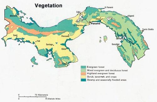 Mapa de vegetación en Panamá