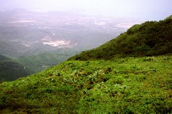 Commons Wikimedia: Cerro Copey (Venezuela)