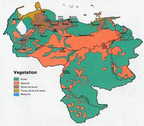 Commons Wikimedia: Vegetación en Venezuela