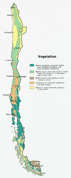Commons Wikimedia: Vegetación en Chile