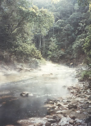 Commons Wikimedia: Selva amazónica (Perú)