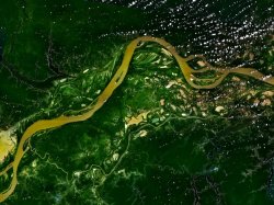 Commons Wikimedia: Ortoimagen de un tramo del río Amazonas en Brasil