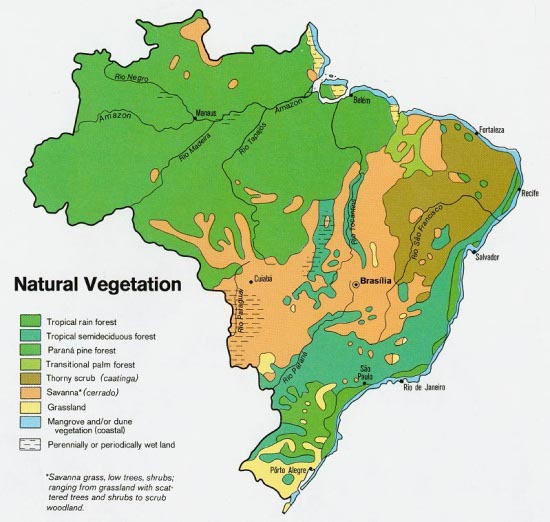 Commons Wikimedia: Mapa de vegetación en Brasil