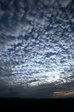 Commons Wikimedia: Cielo con nuves aborregadas