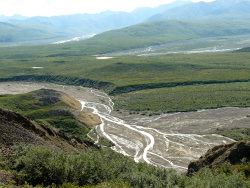 Commons Wikimedia: Río Toklat (Alaska) Estructura anastomosada.