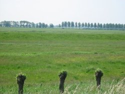 Commons Wikimedia: Paisaje de los Países Bajos