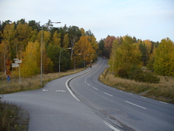 Commons Wikimedia: Paiseje de Suecia, bosque mixto.