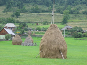 Commons Wikimedia: Explotación tradicional agrícola (Rumanía)