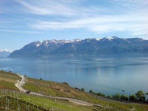 Commnos Wikimedia: Vista del lago Lemán