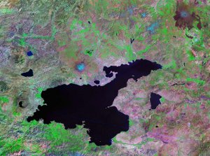 Commons Wikimedia: Ortoimagen del lago Van (Turquía)
