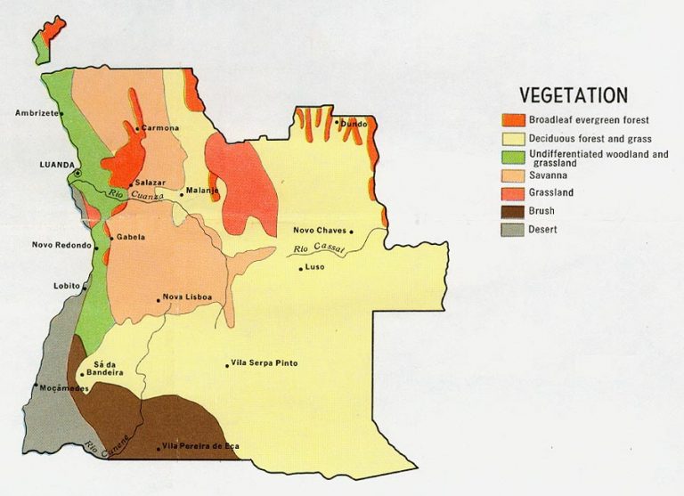 Angola Clima Flora Y Fauna La Gu A De Geograf A