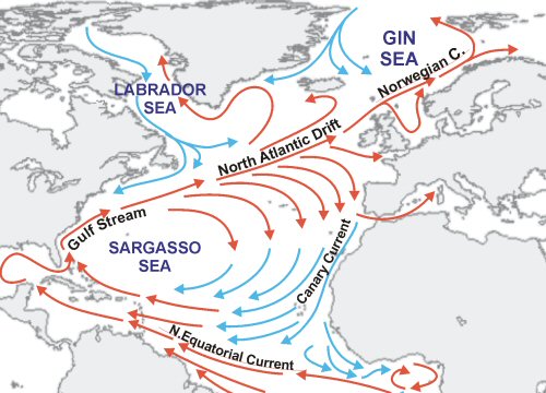 Теплое течение европы. Гольфстрим и Лабрадорское течение. Течение Гольфстрим на карте. Норвегия Гольфстрим теплое течение. Течение Гольфстрим схема течения.