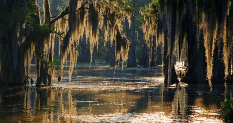 Delta del Mississippi La guía de Geografía