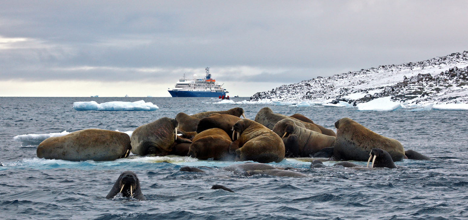 Tierra de Francisco José La guía de Geografía