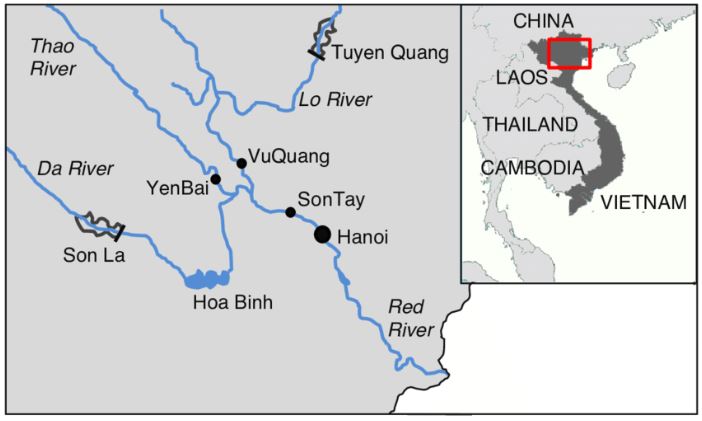 rio yuan