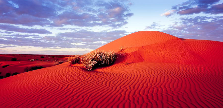 simpson desert